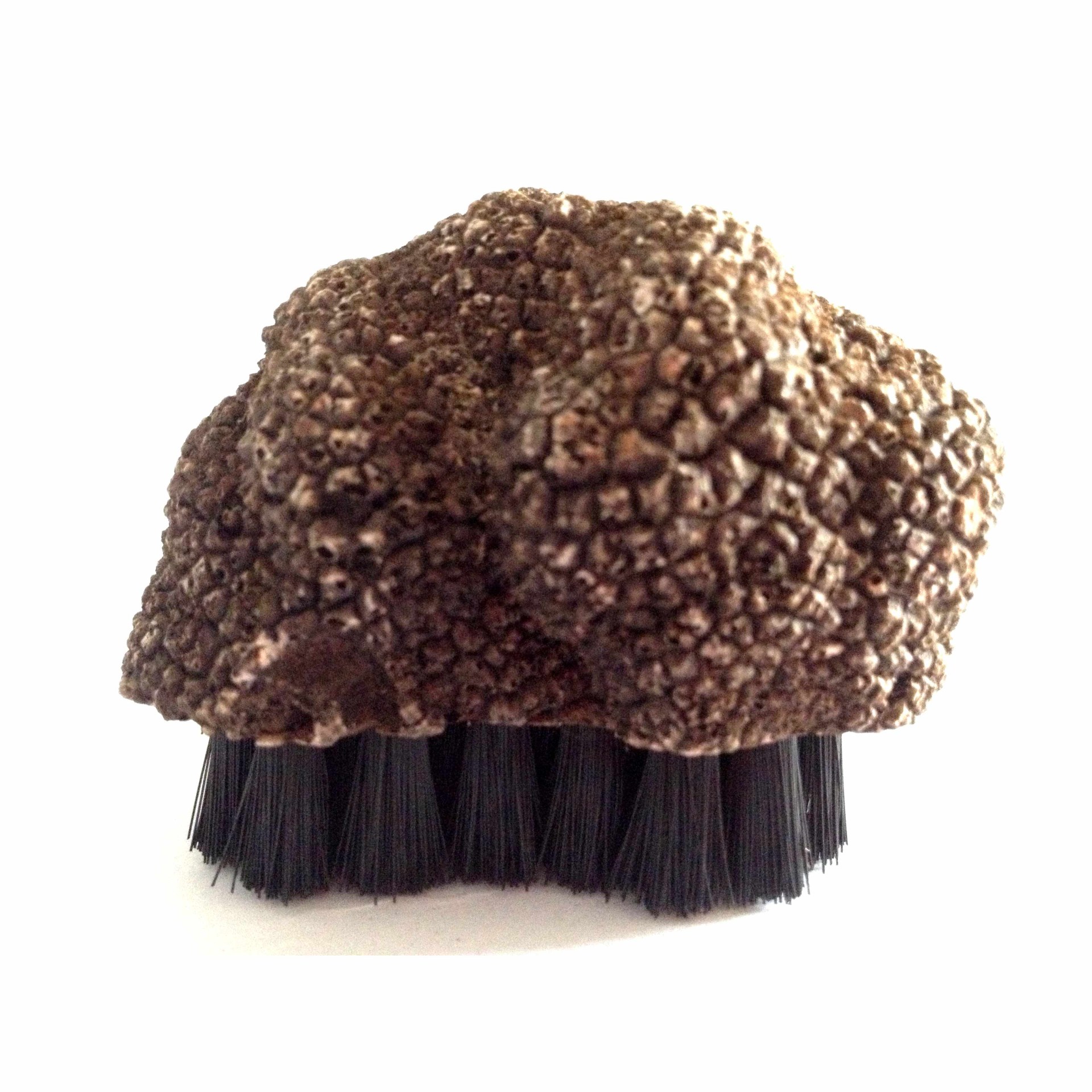 cepillo trufa, limpiar trufa, cepillo setas