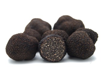 trufa negra fresca melanosporum truffle truffe tartufo