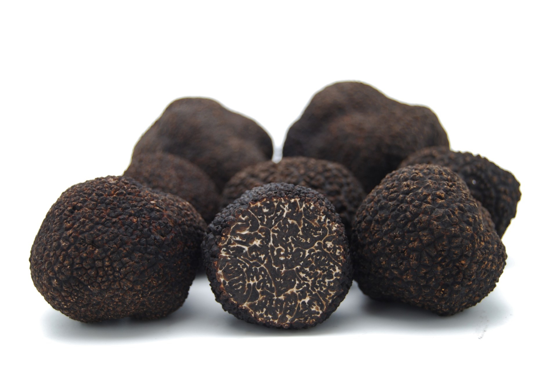 trufa negra fresca melanosporum truffle truffe tartufo